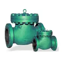 Check Valves, Manufacturer in India